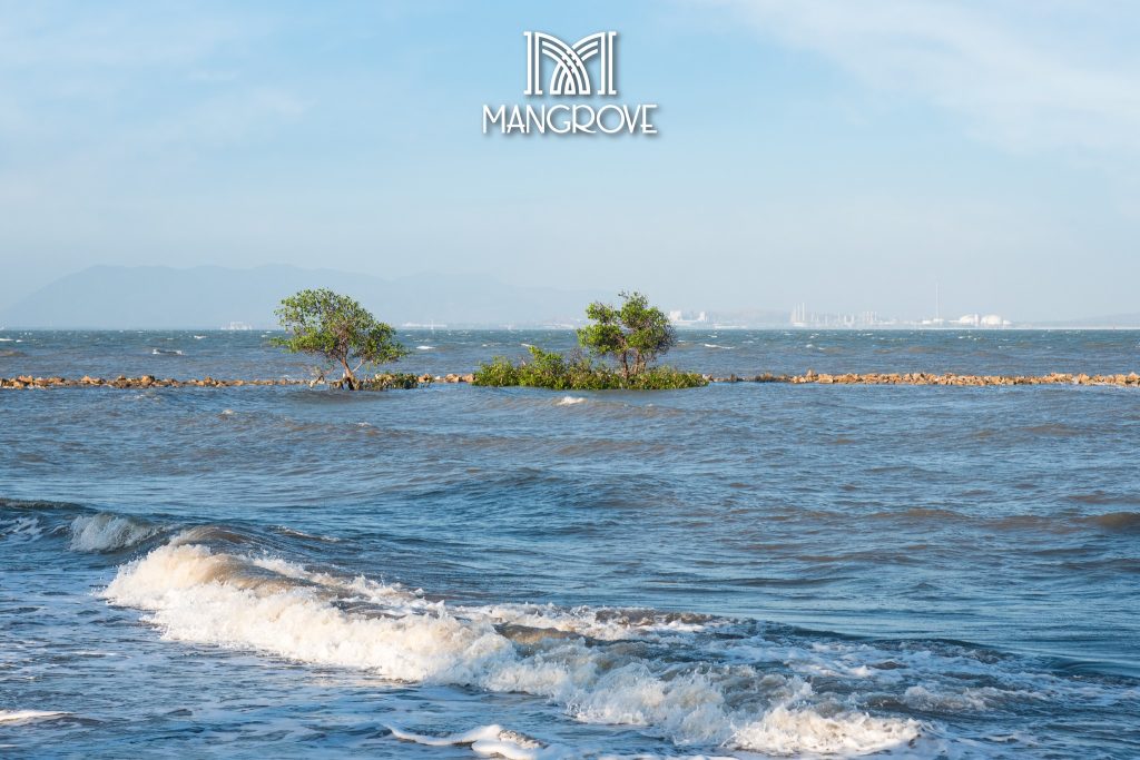 Địa điểm du lịch gần Sài Gòn - Cần Giờ