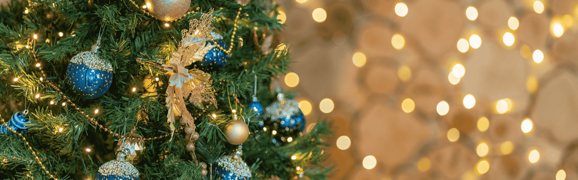 Kho Cube VN - Địa điểm mua cây thông Noel - Top Banner
