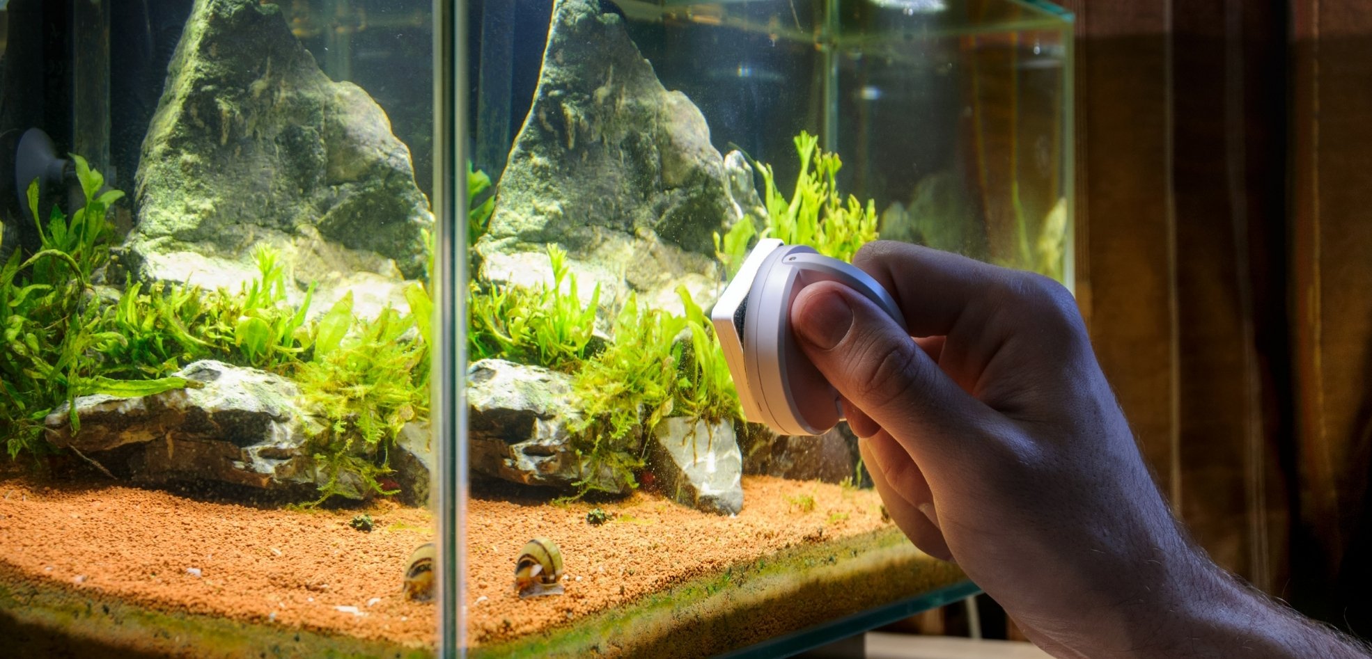 Kho Cube VN - Hồ cá thủy sinh trang trí nhà cửa Kho Cube VN - Hồ cá thủy sinh trang trí nhà cửa
