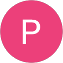 Phuong Anh Dang profile picture